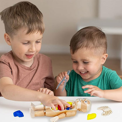 Interactief Anatomisch Menselijk Lichaam Speelgoed - Educatieve 3D Puzzel met Verwijderbare Organen