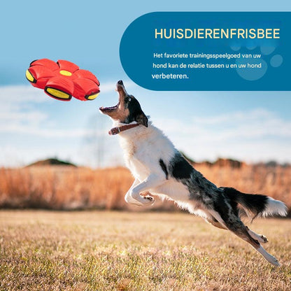 Vliegende Schotel Bal voor Honden - Interactief Apporteerspeeltje voor Buitenpret