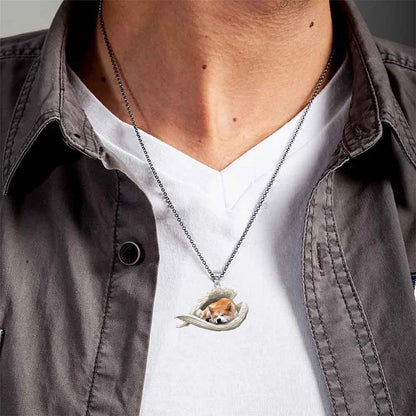 Akita Inu Roestvrije hondenslaapketting