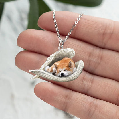 Akita Inu Roestvrije hondenslaapketting