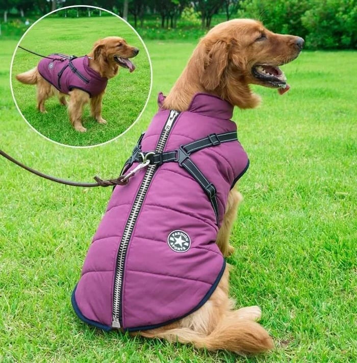 Waterdichte Winterjas voor Honden - Warme en Duurzame Buitenkleding