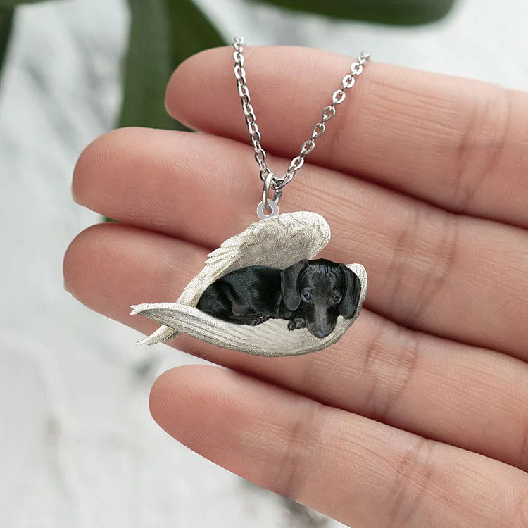 Zwarte hond slapende ketting