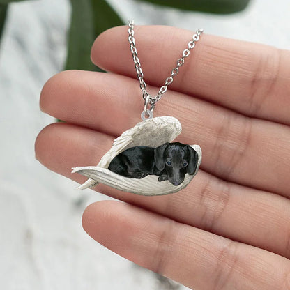 Zwarte hond slapende ketting