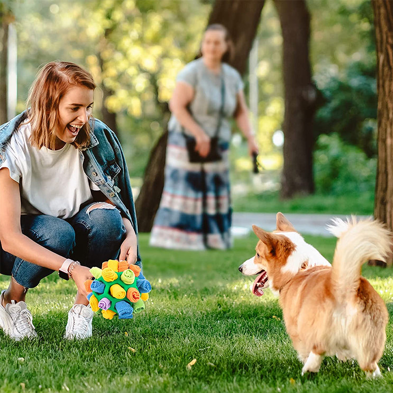 Leuk en uitdagend speeltje met snuffelbal voor huisdieren - verbetert de speeltijd van uw hond