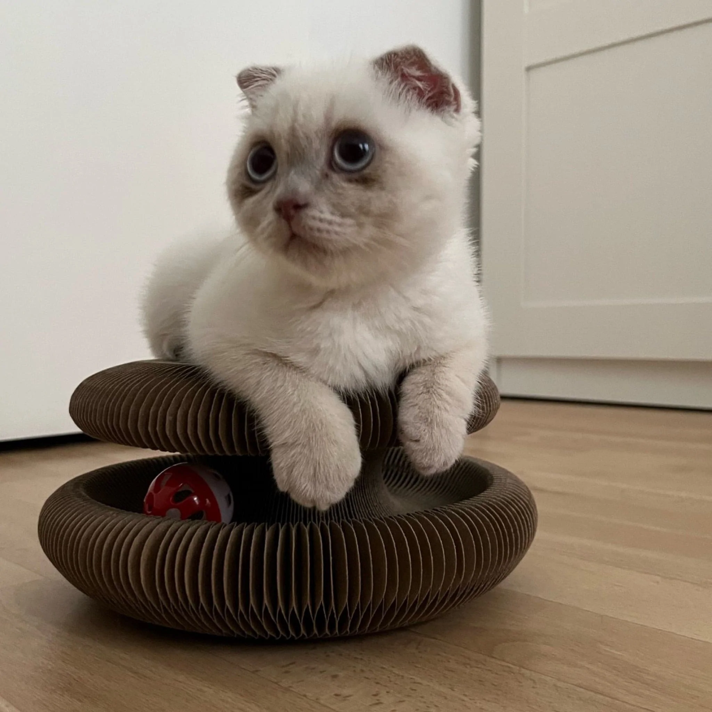 Krabspeelgoed voor katten