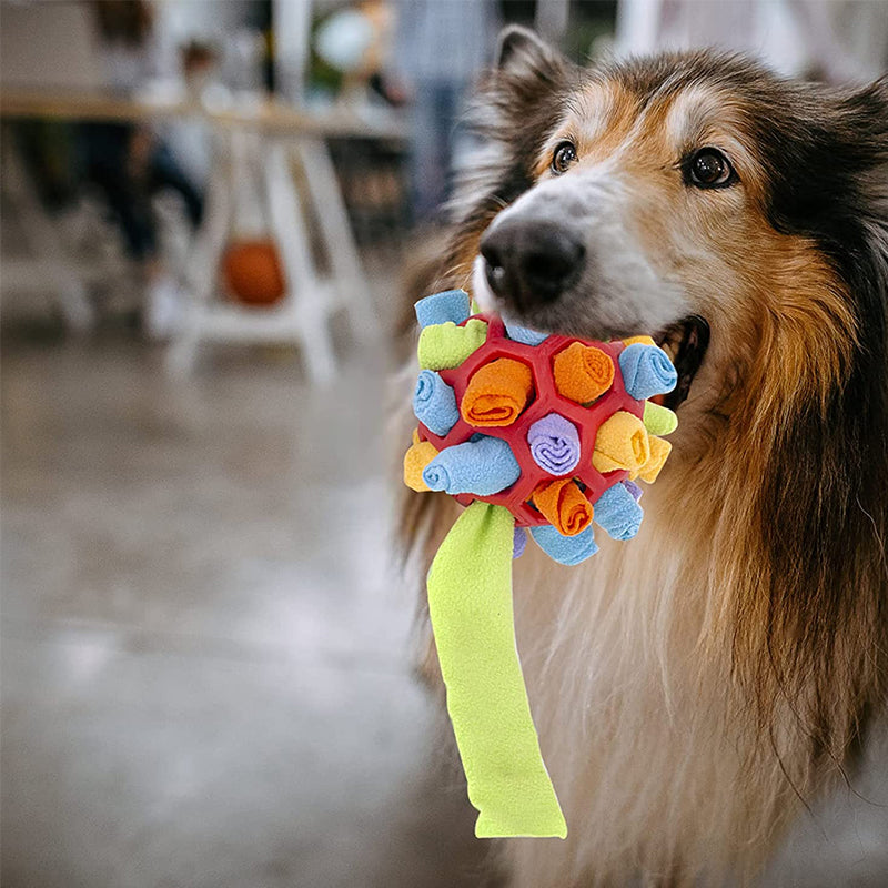 Leuk en uitdagend speeltje met snuffelbal voor huisdieren - verbetert de speeltijd van uw hond