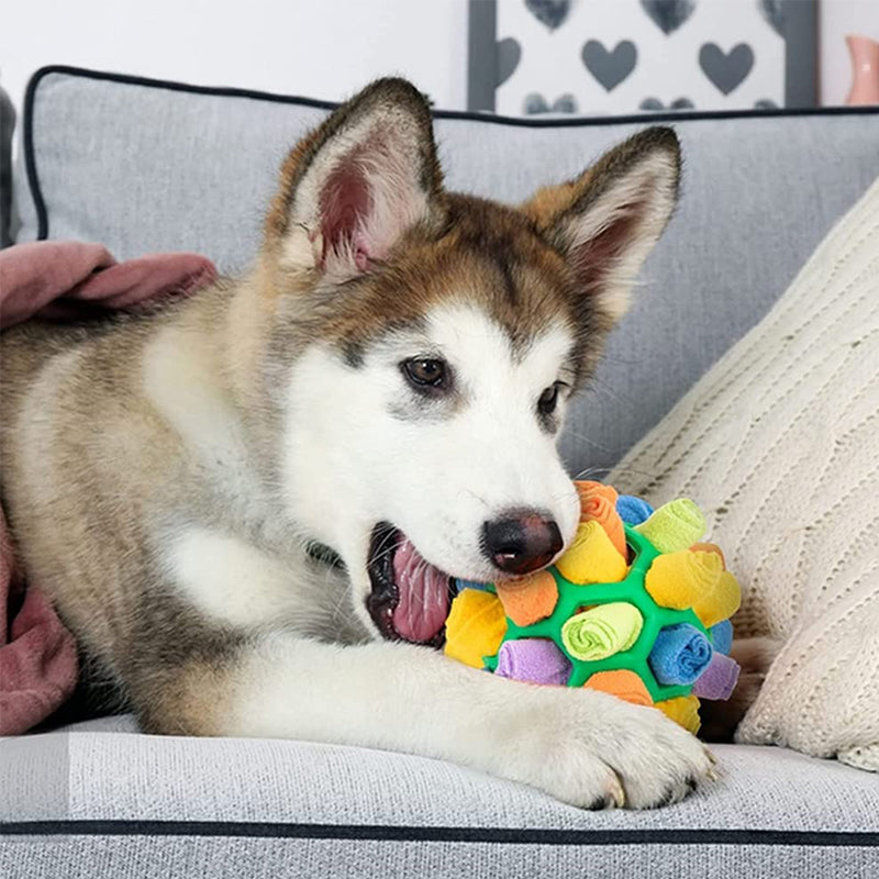 Leuk en uitdagend speeltje met snuffelbal voor huisdieren - verbetert de speeltijd van uw hond